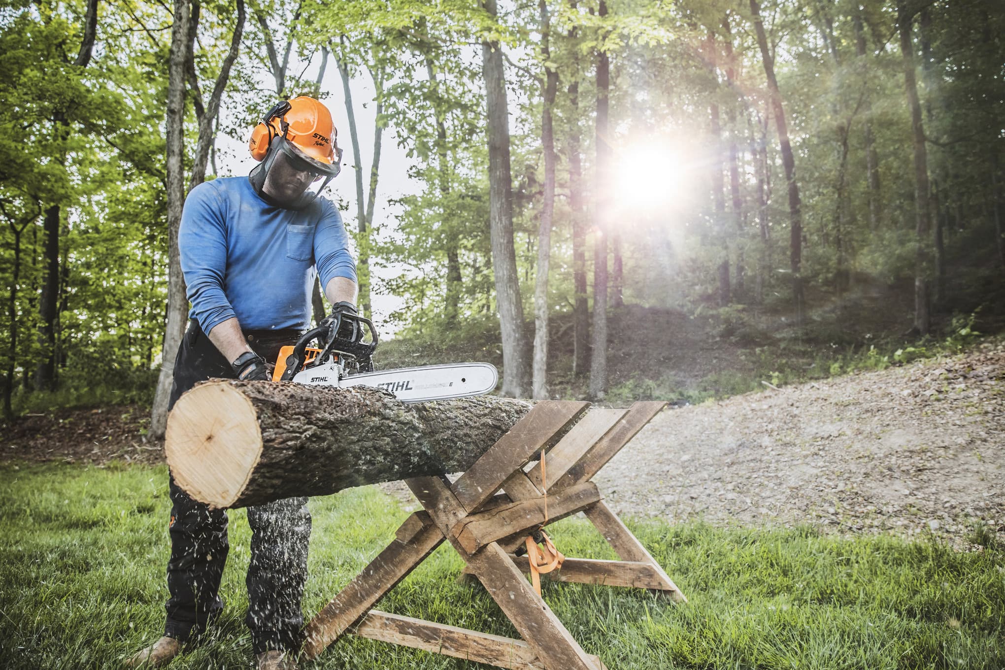 Бензопила STIHL MS 250 (40 см) — превью 6