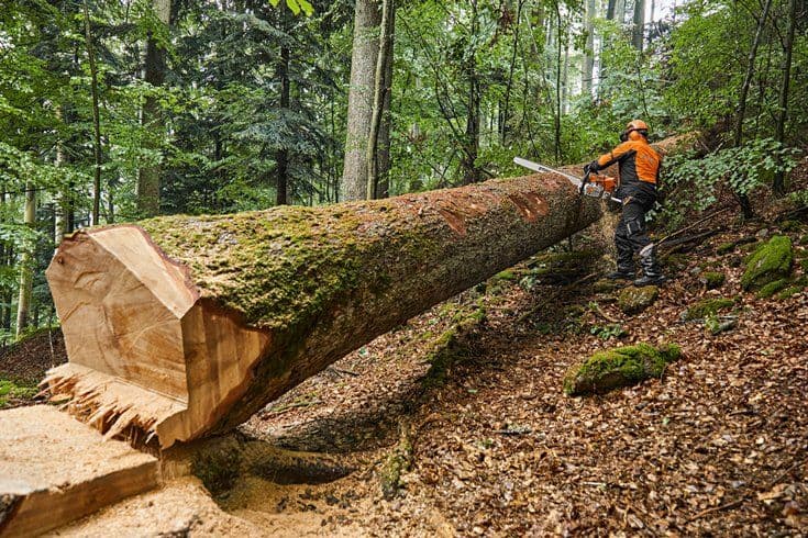 Бензопила STIHL MS 881 (120 см) — превью 4